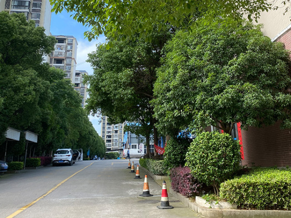 公司环境